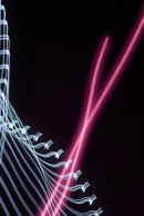 Twist and Pink Lines (2008)